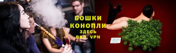 сатива Волоколамск