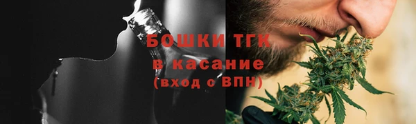 сатива Волоколамск