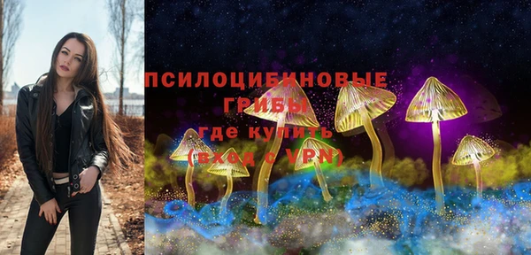 сатива Волоколамск