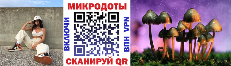 Псилоцибиновые грибы Cubensis  Домодедово 